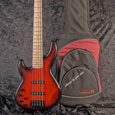 Sandberg Panther TT 5-string RB BM image 8