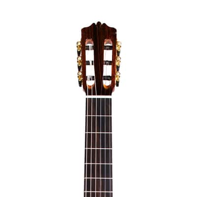 Cordoba C10 Cedar Classical Guitar image 6