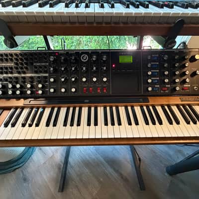 Moog Minimoog Voyager XL 61-Key Monophonic Synthesizer 2010 - Black with Wood Cabinet