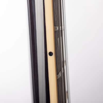 Gibson Slash Les Paul Standard, November Burst | Demo image 11