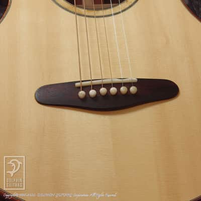 ROTEMAR GUITARS R1 (Madagascar Rosewood) [Pre-Owned] image 11