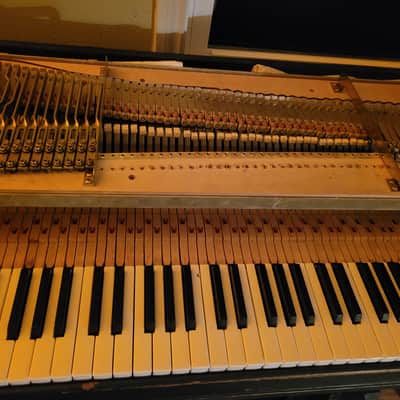 Rhodes KMC1 73-Key Student / Instructor Electric Piano 1969 - 1974 - Black Rounded Top image 6