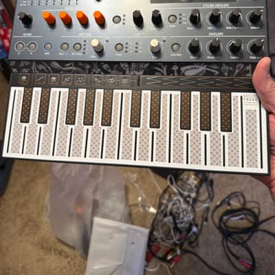 Arturia MicroFreak 25-Key Algorithmic Synthesizer 2019 - Present