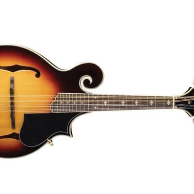 Washburn Florentine F-Style Mandolin w/ Hardshell Case - Tobacco Sunburst image 1