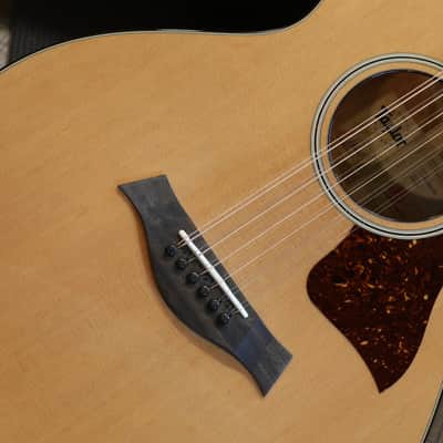 Minty! 2019 Taylor 552ce 12 String Red Cedar Mahogany Acoustic Guitar Natural + OHSC image 4