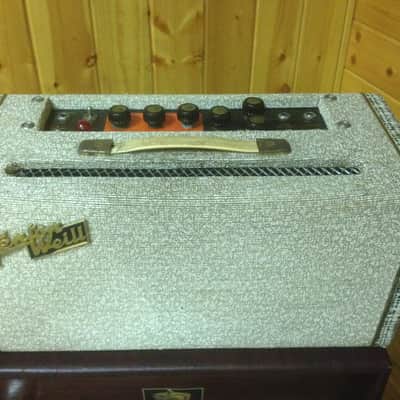 Fenton Weill Reverb Tank&Amp *1959* image 1