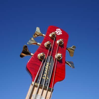 Spector Euro 5 LX Maple Fingerboard – Black Cherry Gloss 5-String Electric Bass Guitar image 10
