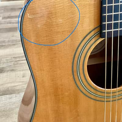 Fender DG-8S Dreadnought Acoustic Guitar w/ Gig Bag image 6