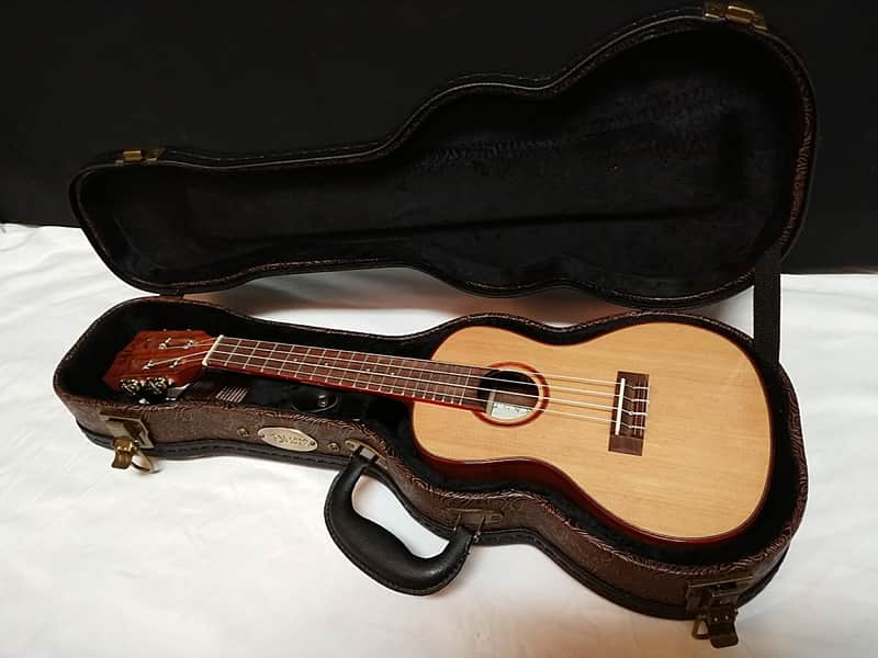 KALA Solid Cedar Top Acacia Concert UKULELE new UKE KA-ACP-CTG w/ Hard Case image 1