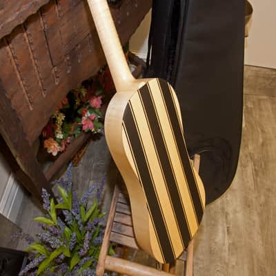 Roosebeck GRSR4C | RENAISSANCE GUITAR 4-COURSE. New with Full Warranty! image 3