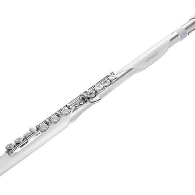 Roland Aerophone Brisa Digital Wind Instrument (AEBRISAd2) image 1