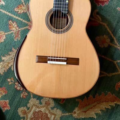 Jean Noel Lebreton - Cedar Doubletop Balsa/Nomex 2023 - French Polish Top image 1