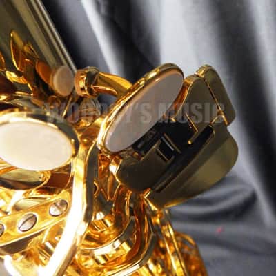 Yanagisawa AWO10 Elite Model Alto Saxophone - Lacquered Brass image 4