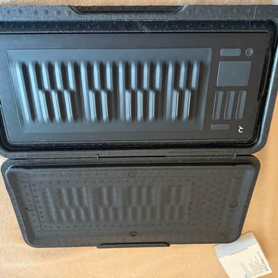 ROLI Seaboard RISE 25 2010s - Black image 2