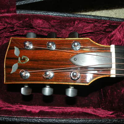 Goodall Concert Jumbo Madagascar Rosewood European Spruce Acoustic Guitar image 9