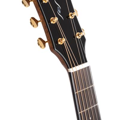 Cort GOLDA6-BO Gold Series Bocote Acoustic Electric Guitar - Natural Glossy (GOLDA6-BO-U) image 3