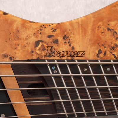 Ibanez EHB1505SMS-FNL Bass Workshop ~Florid Natural Low Gloss~ image 6