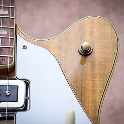 FENDER USA Vintage Wildwood Coronado II Hollow Body "Wildwood + Rosewood" (1969) image 9