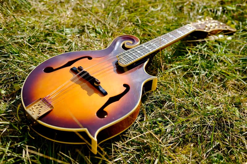 Alvarez F5 image 1