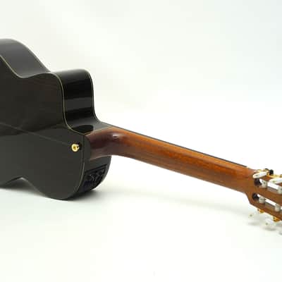 Takamine TH90 Hirade image 3