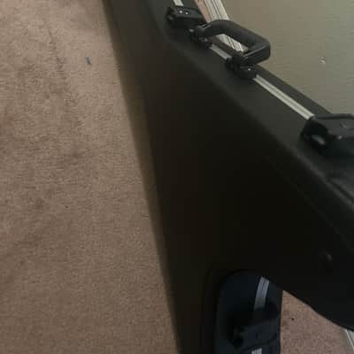 SKB flying v case image 3