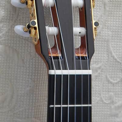 Esteve Alegria crossover cutaway / lattice braced / cedar top image 7