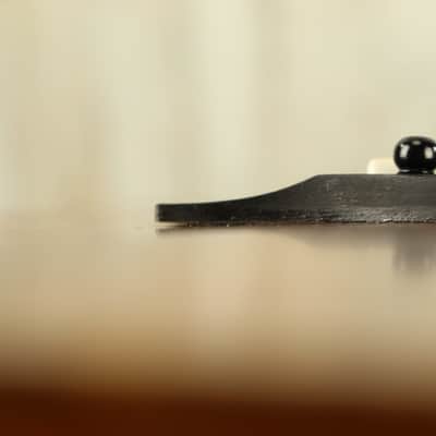 PROJECT Taylor GS Mini (096) image 12
