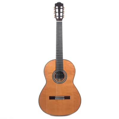 Cordoba C9 Parlor Acoustic Guitar w/Polyfoam Case image 4