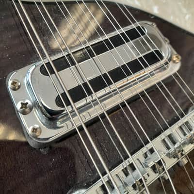 Schecter THS 12 String - Transparent Dark Brown image 6