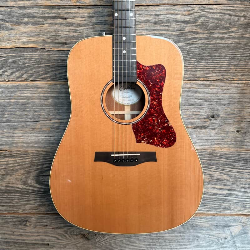 Godin Century Maho Acoustic-Electric Guitar - Natural w/Bag image 1