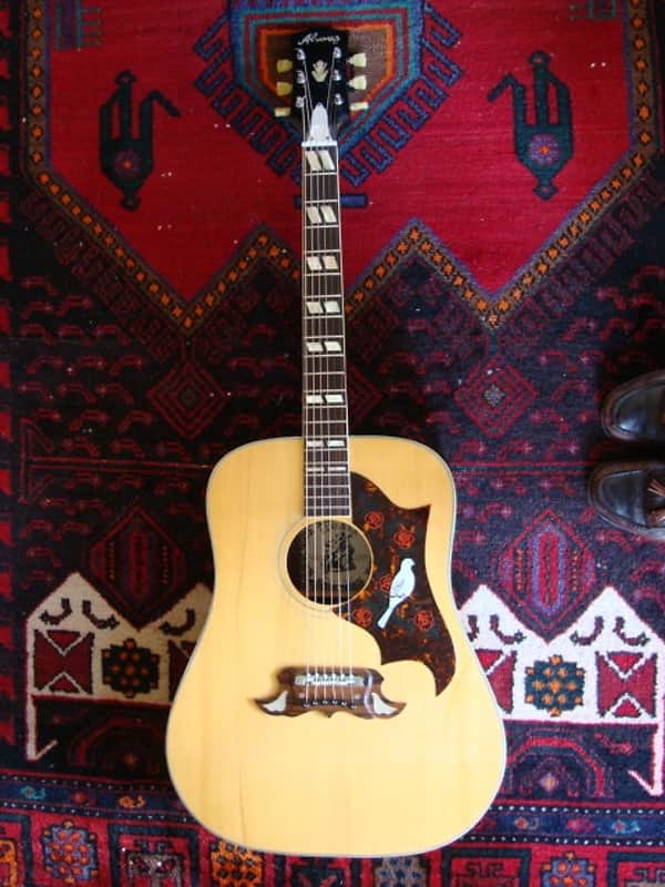 Alvarez 5025 ( Dove ) 68-69 Rosewood/spruce image 1