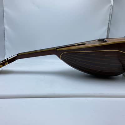 Lyon & Healy Beatle Back Mandolin Bowl Back image 4