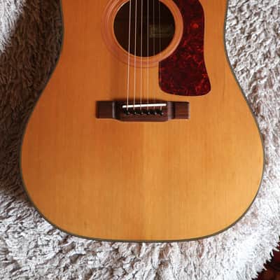 Rare Vintage JAPAN made Washburn D30S 1995 Cedar + Birdseye Maple + Pro Setup image 2