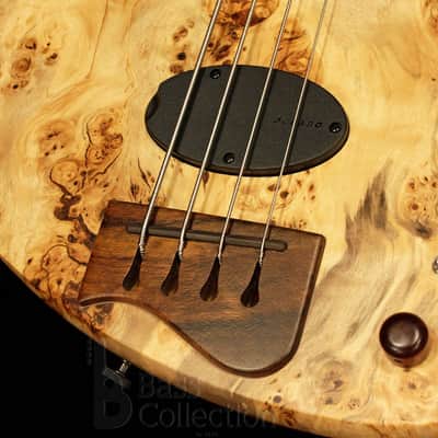 Stradi Symphony 4 Fretless - Earth - image 3