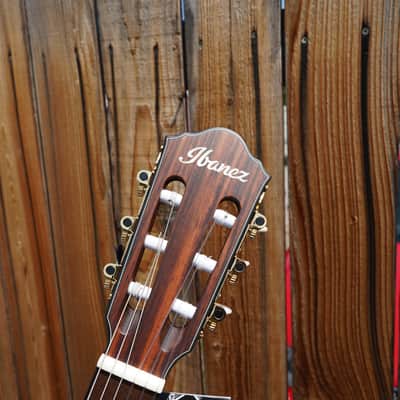 IBANEZ FRH10N RGF Rose Metallic Gold Flat 6-String Classical Electric Guitar image 9
