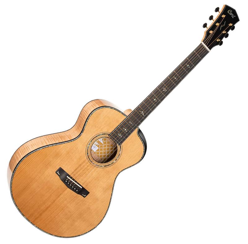 Cort Gold Passion Concert Body Acoustic Guitar Bevel All Solid L.R. Baggs Bild 1