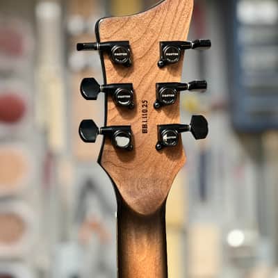 Howie Bull Series Baritone #BB.1.110.25 - Wine Red image 12