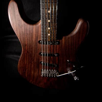 Custom Made Stratocaster - Extremely EXOTIC Rosewood Body w/Goncalo Alves & Macassar Ebony Neck image 4