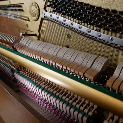 1981 Yamaha P202 image 6