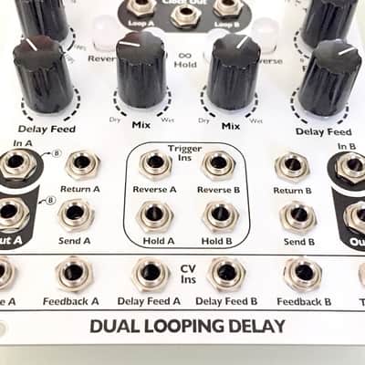 4ms Dual Looping Delay (DLD) image 6