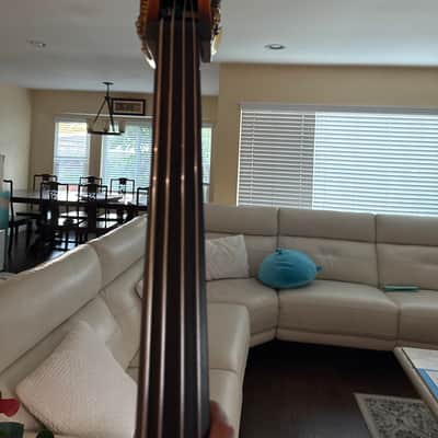 Upright Bass 2012 image 2