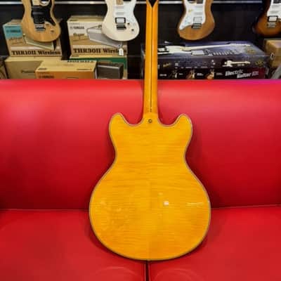 D'Angelico Excel EX-DC Semi-Hollow with Stop-Bar Tailpiece 2021 - Vintage Natural image 5