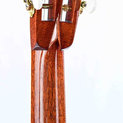 Collings Parlor Deluxe Cocobolo Adirondack Traditional image 6