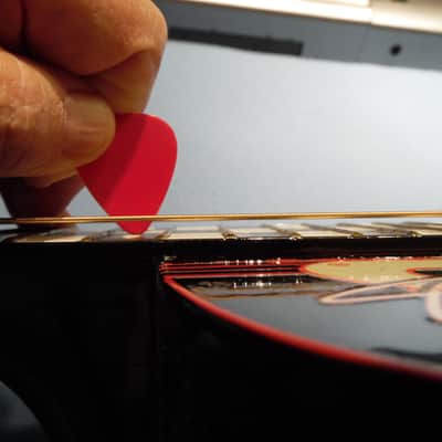 Custom Shop Guitar (Dale Earnhardt Sr.) image 12