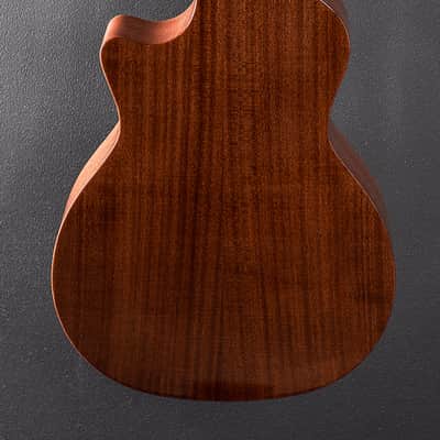 Taylor Used 354CE Studio Special Edition 12 String '26 image 4