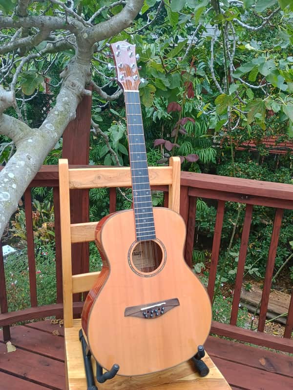 Octave mandolin/8-string tenor/baritone uke converted solid top guitar image 1