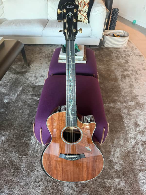 Taylor PB14ce Andy Powers Design: 79% OFF!