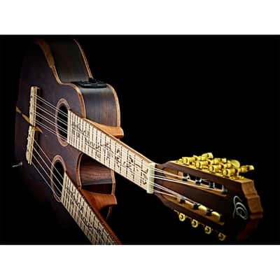 Ortega Custom Built Series Double Neck 4 & 8 String Tenor Acoustic-Electric Ukulele w/ Bag image 3