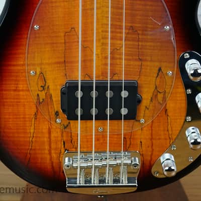 Sterling StingRay Ray34SM - Tone Sunburst image 6