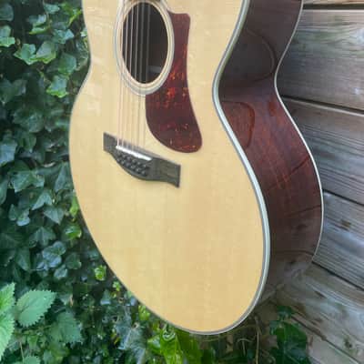 Eastman AC330E-12 - Natural image 5